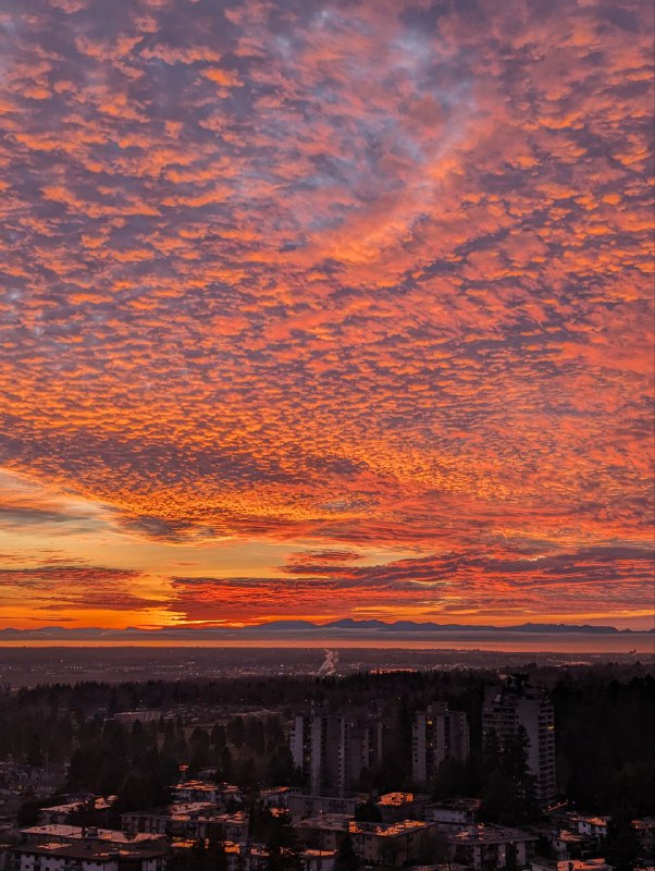 下午四点钟日落后